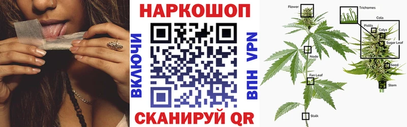 Продажа наркотиков Зеленогорск ГАШИШ COCAIN Альфа ПВП Мефедрон