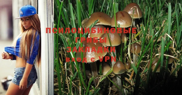 mdma Горнозаводск