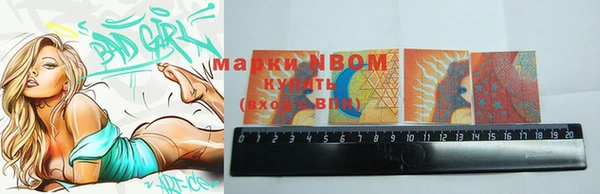 крисы Горняк