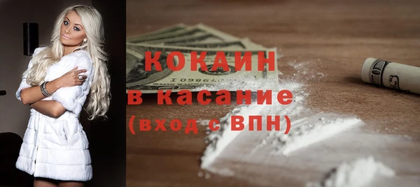 крисы Горняк