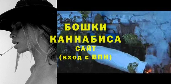 крисы Горняк