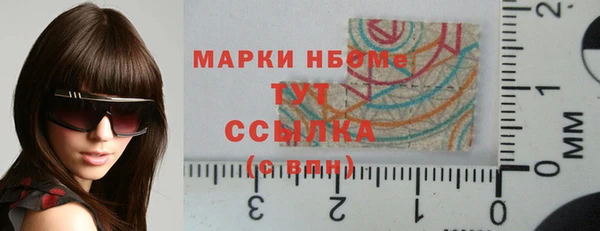 крисы Горняк