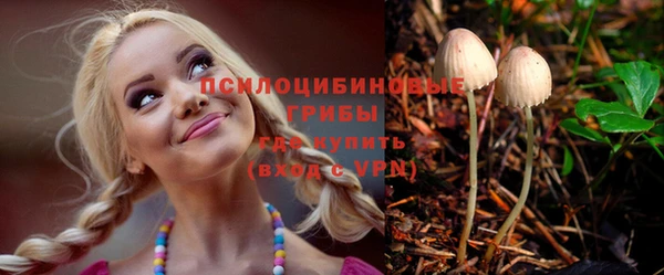крисы Горняк