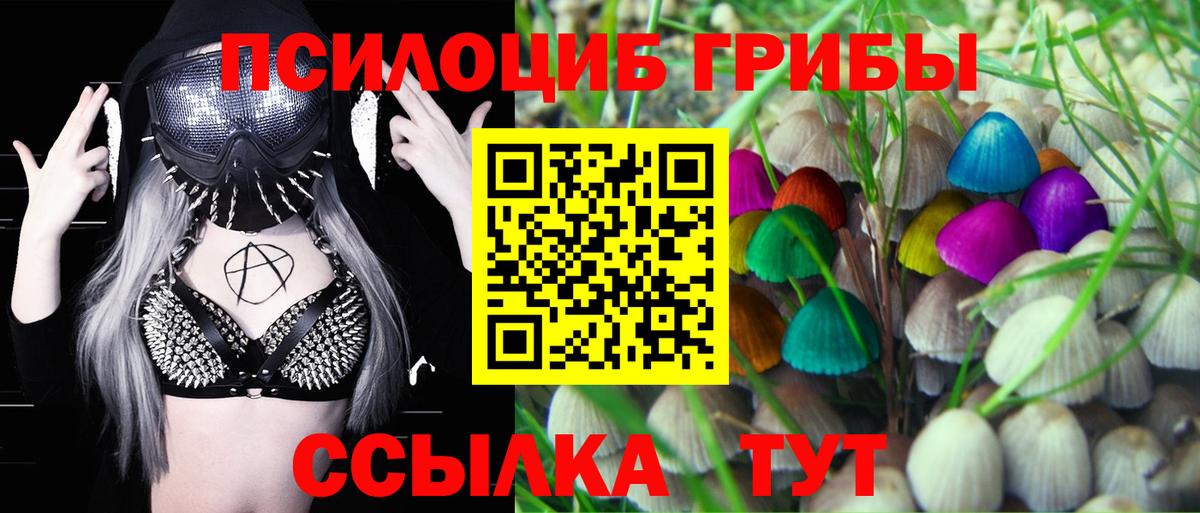 Зеленогорск  Галлюциногенные грибы Magic Shrooms  Псилоцибиновые грибы Magic Shrooms  Вход с VPN 