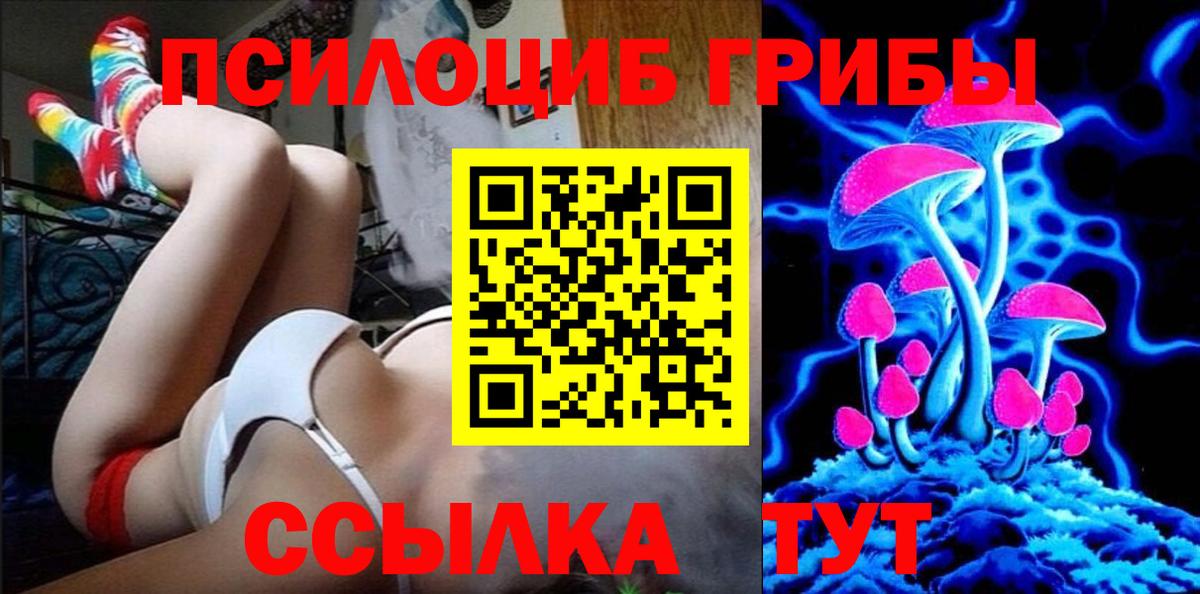 Галлюциногенные грибы Psilocybine cubensis Зеленогорск
